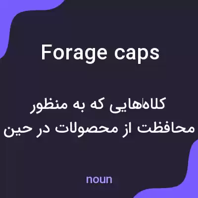 معنی forage caps به فارسی معنی forage caps به فارسی