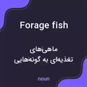 معنی forage fish به فارسی
