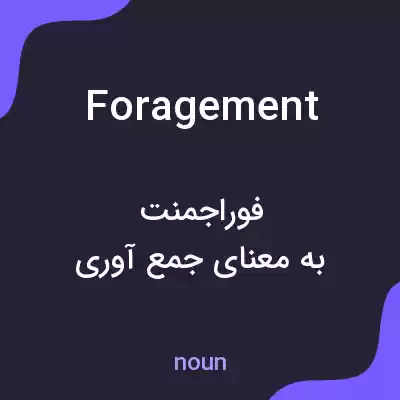 معنی foragement به فارسی معنی foragement به فارسی