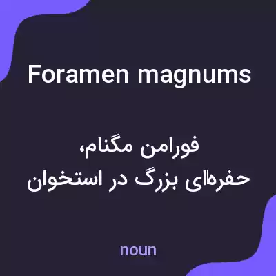 معنی foramen magnums به فارسی معنی foramen magnums به فارسی