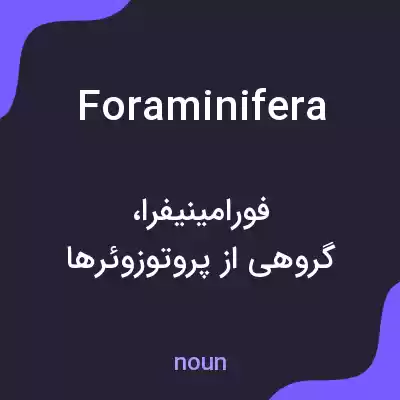 معنی foraminifera به فارسی معنی foraminifera به فارسی