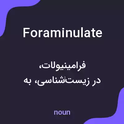 معنی foraminulate به فارسی معنی foraminulate به فارسی