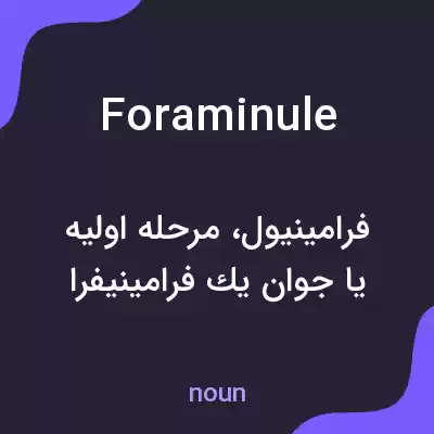 معنی foraminule به فارسی معنی foraminule به فارسی