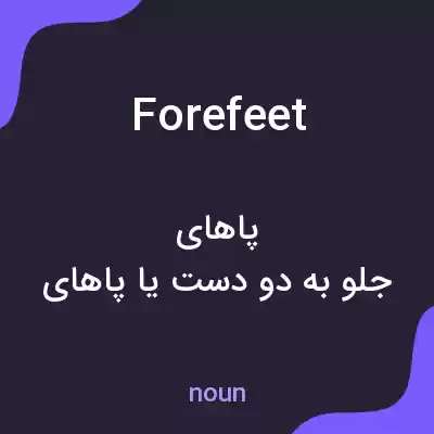 معنی forefeet به فارسی معنی forefeet به فارسی