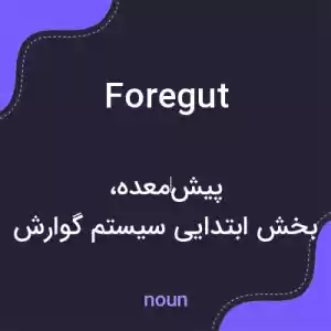 معنی foregut به فارسی معنی foregut به فارسی