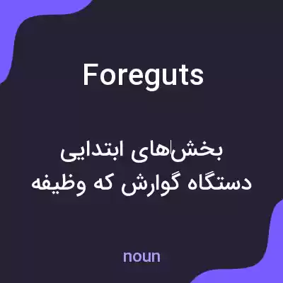 معنی foreguts به فارسی معنی foreguts به فارسی