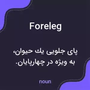 معنی foreleg به فارسی معنی foreleg به فارسی