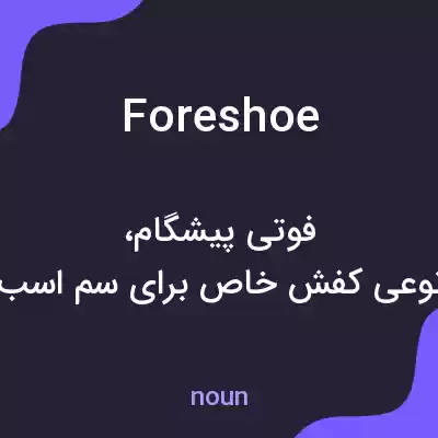 معنی foreshoe به فارسی معنی foreshoe به فارسی