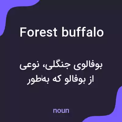 معنی forest buffalo به فارسی معنی forest buffalo به فارسی