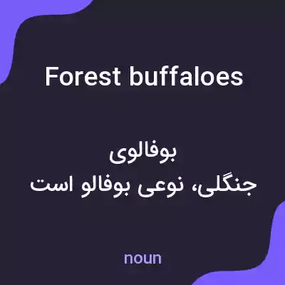 معنی forest buffaloes به فارسی معنی forest buffaloes به فارسی