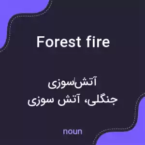 معنی forest fire به فارسی