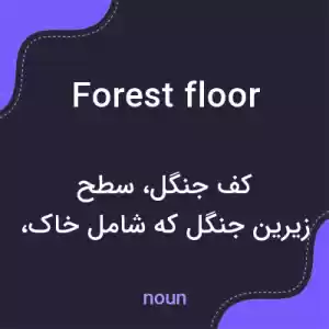 معنی forest floor به فارسی معنی forest floor به فارسی