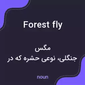 معنی forest fly به فارسی