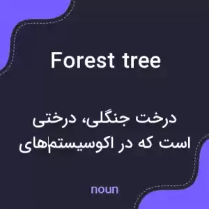 معنی forest tree به فارسی معنی forest tree به فارسی
