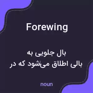 معنی forewing به فارسی معنی forewing به فارسی