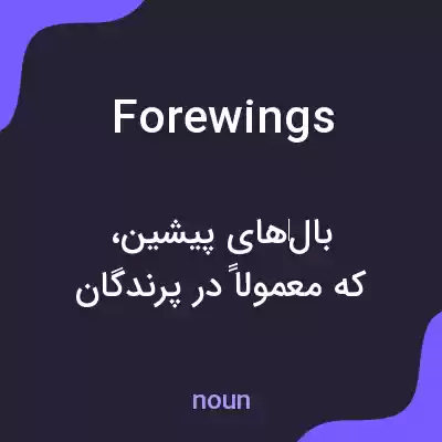 معنی forewings به فارسی معنی forewings به فارسی