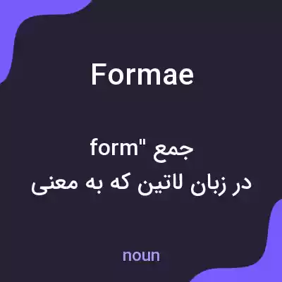 معنی formae به فارسی معنی formae به فارسی