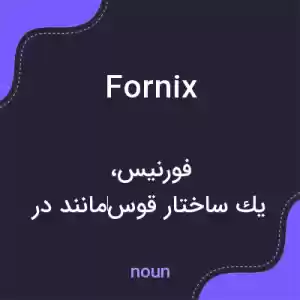 معنی fornix به فارسی معنی fornix به فارسی