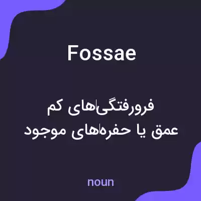 معنی fossae به فارسی معنی fossae به فارسی