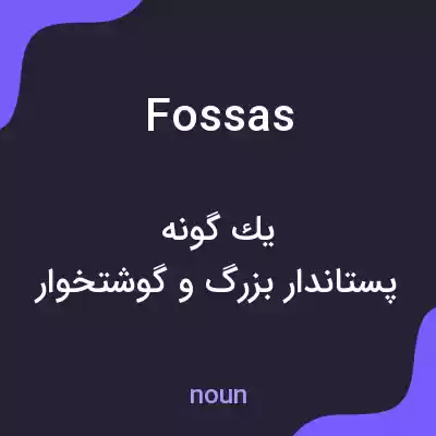 معنی fossas به فارسی معنی fossas به فارسی