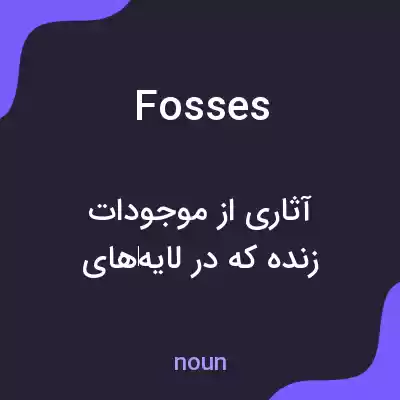 معنی fosses به فارسی معنی fosses به فارسی