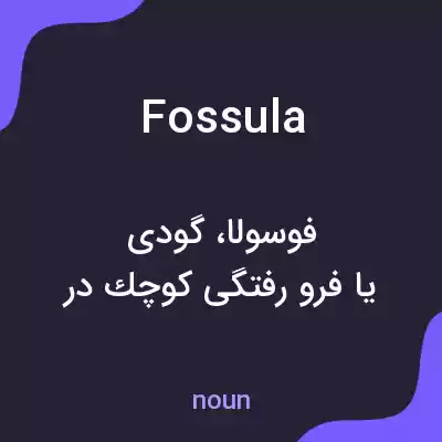 معنی fossula به فارسی معنی fossula به فارسی