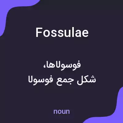 معنی fossulae به فارسی معنی fossulae به فارسی