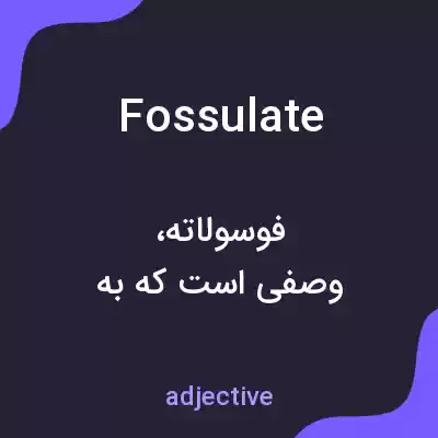 معنی fossulate به فارسی