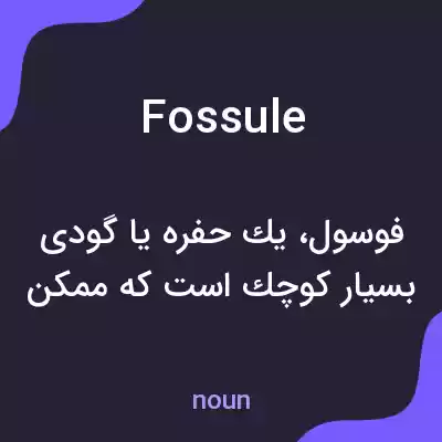 معنی fossule به فارسی