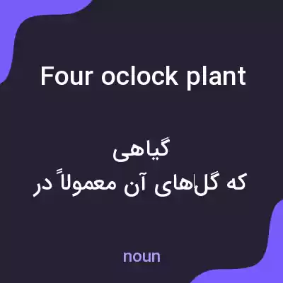 معنی four oclock plant به فارسی معنی four oclock plant به فارسی