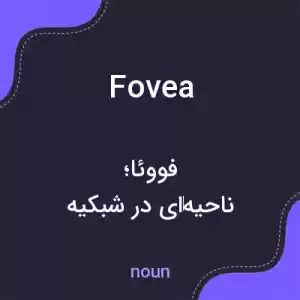 معنی fovea به فارسی معنی fovea به فارسی