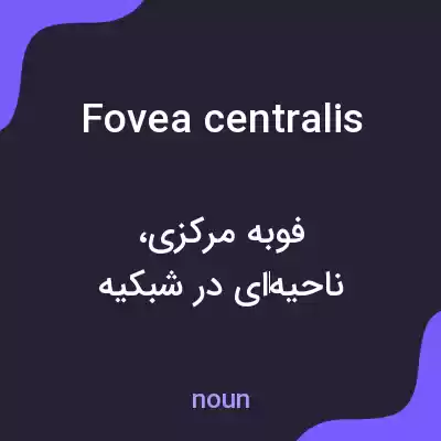 معنی fovea centralis به فارسی معنی fovea centralis به فارسی