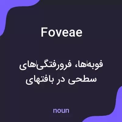 معنی foveae به فارسی معنی foveae به فارسی