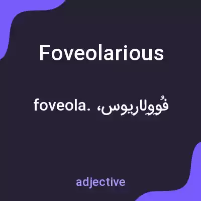 معنی foveolarious به فارسی معنی foveolarious به فارسی