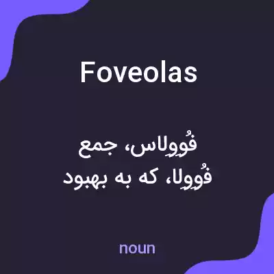 معنی foveolas به فارسی معنی foveolas به فارسی