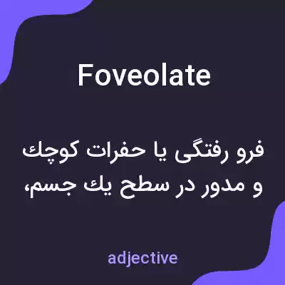 معنی foveolate به فارسی معنی foveolate به فارسی