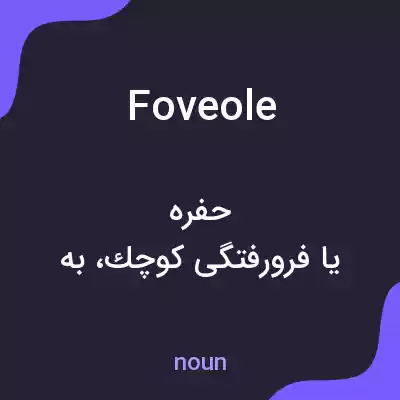 معنی foveole به فارسی معنی foveole به فارسی