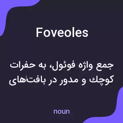 معنی foveoles به فارسی معنی foveoles به فارسی