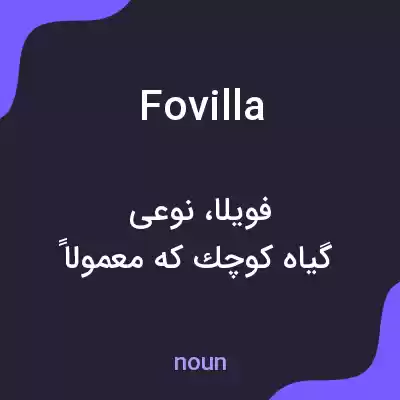 معنی fovilla به فارسی معنی fovilla به فارسی
