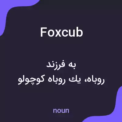 معنی fox cub به فارسی معنی fox cub به فارسی