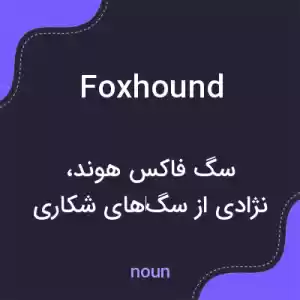 معنی foxhound به فارسی معنی foxhound به فارسی