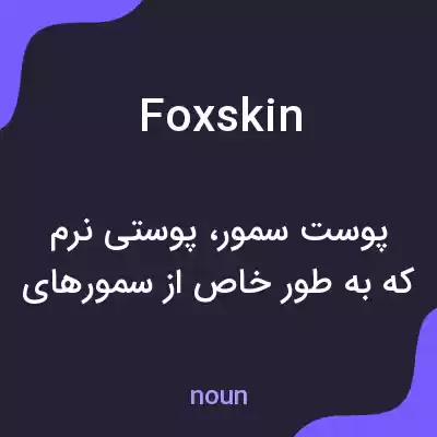 معنی foxskin به فارسی معنی foxskin به فارسی