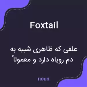 معنی foxtail به فارسی معنی foxtail به فارسی