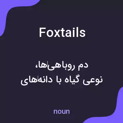 معنی foxtails به فارسی معنی foxtails به فارسی