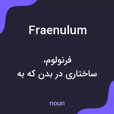 معنی fraenulum به فارسی معنی fraenulum به فارسی