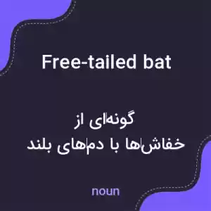 معنی free-tailed bat به فارسی معنی free-tailed bat به فارسی