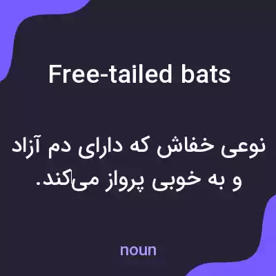 معنی free-tailed bats به فارسی معنی free-tailed bats به فارسی