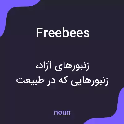معنی freebees به فارسی