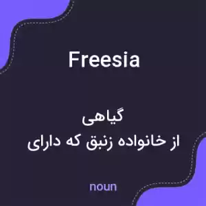 معنی freesia به فارسی معنی freesia به فارسی