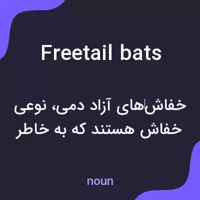 معنی freetail bats به فارسی معنی freetail bats به فارسی
